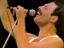 freddie
