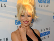 Mercy For Animals MFA from Los Angeles, USA