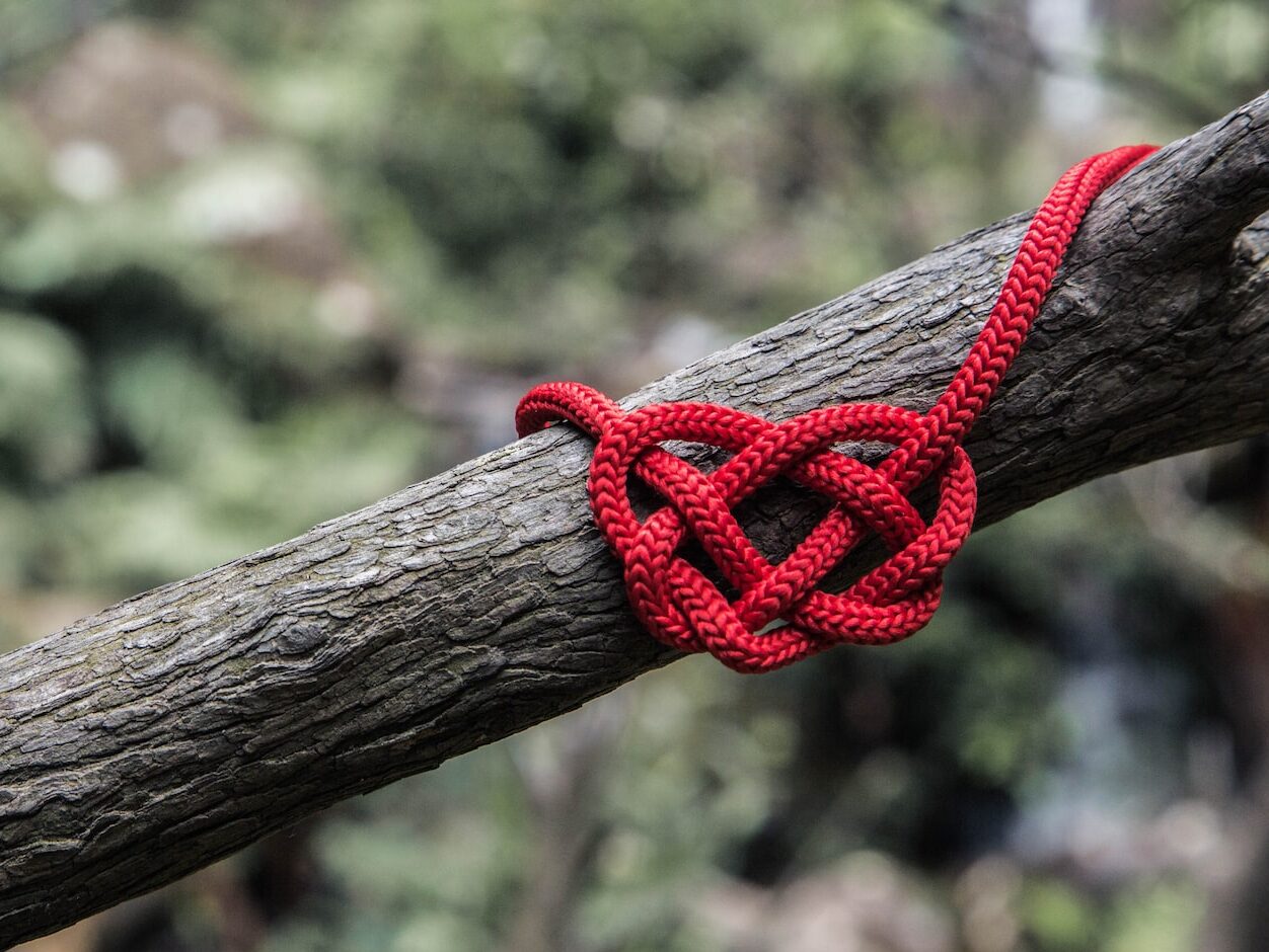 red rope on three branch