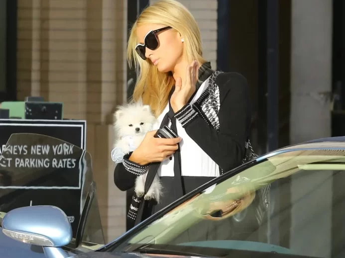Paris Hilton s Ňufíkem