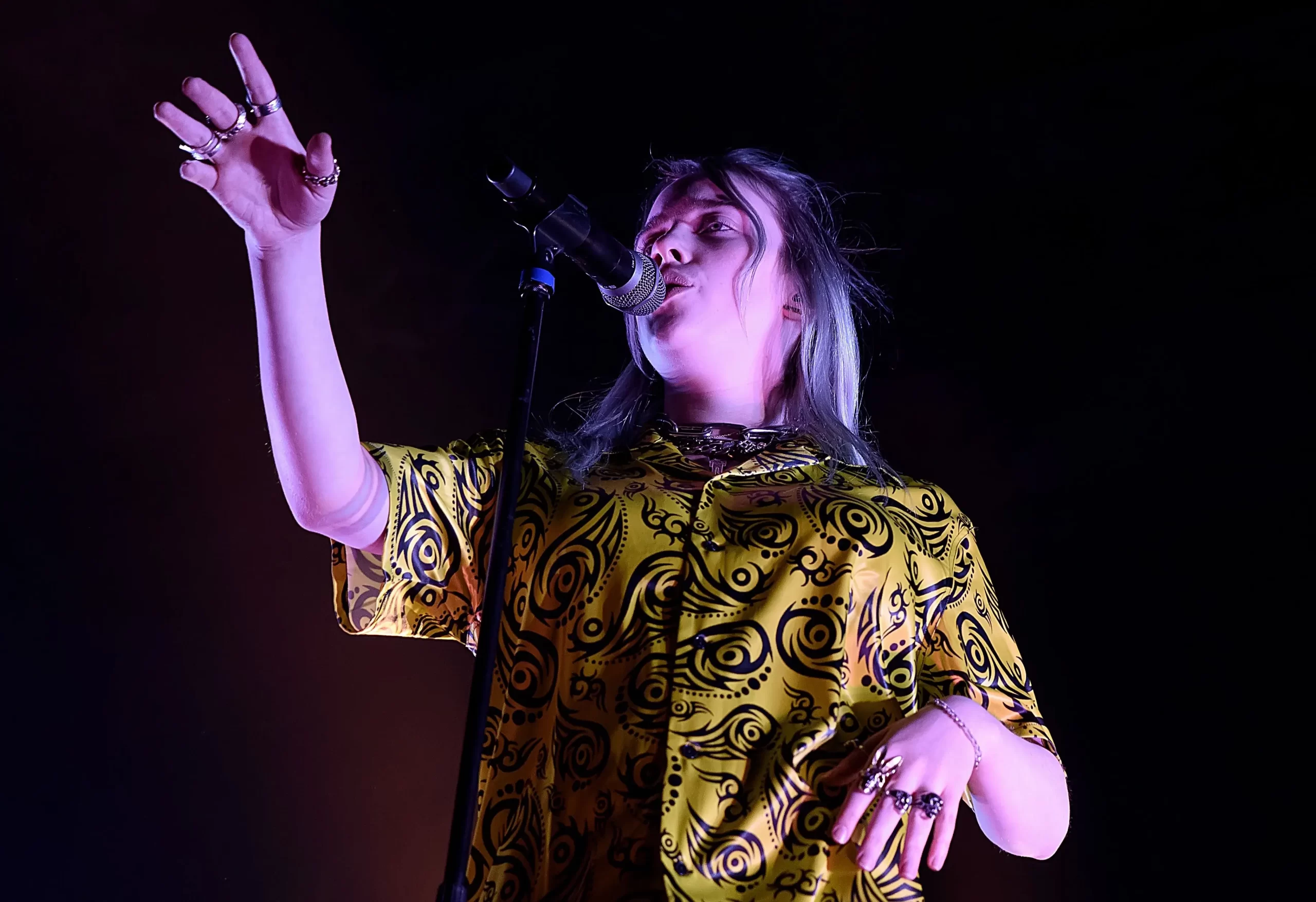 - VIPshow Billie Eilish na koncertě