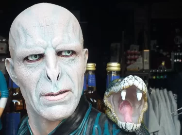 Maska lorda Voldemorta