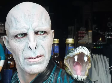 Voldemort Harry Potter