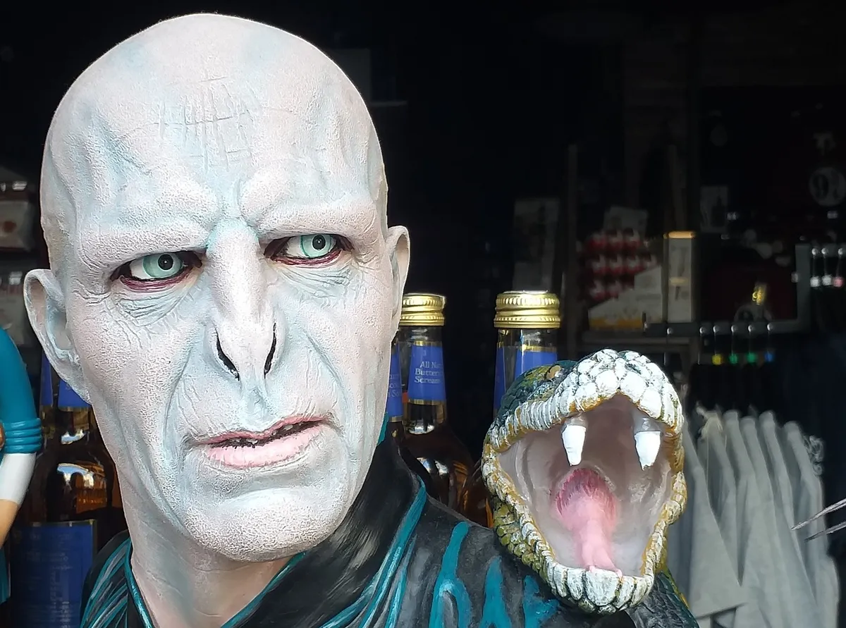 Voldemort Harry Potter