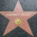 Humphrey Bogart je legendou