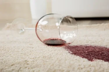 Alkohol patřil k démonům, které ji trápili a možná i zabili.