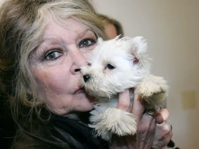 Brigitte Bardot našla nový smysl života ve společnosti zvířat