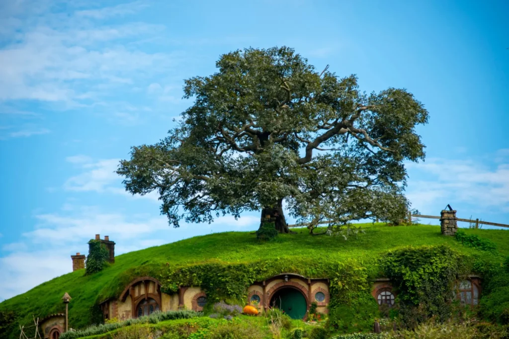 VIPshow Krajina Kraje s dubem na vrcholku