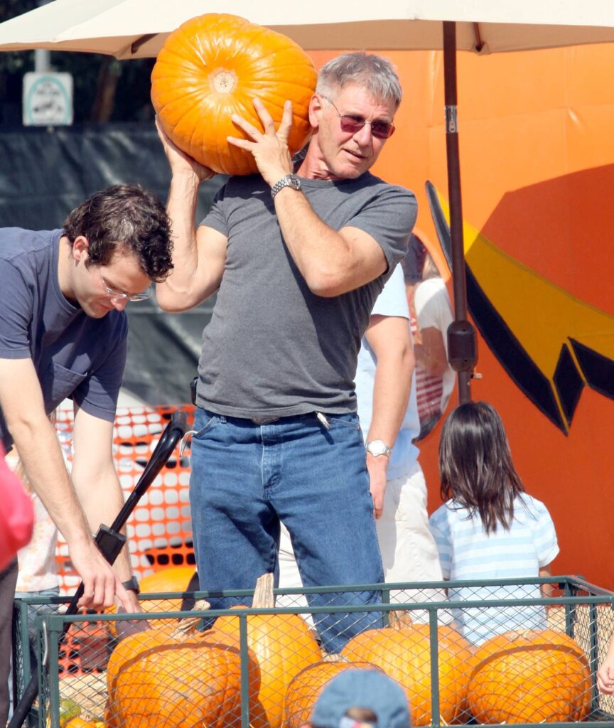 Harrison Ford si zahrál hned v několika kultovních snímcích.