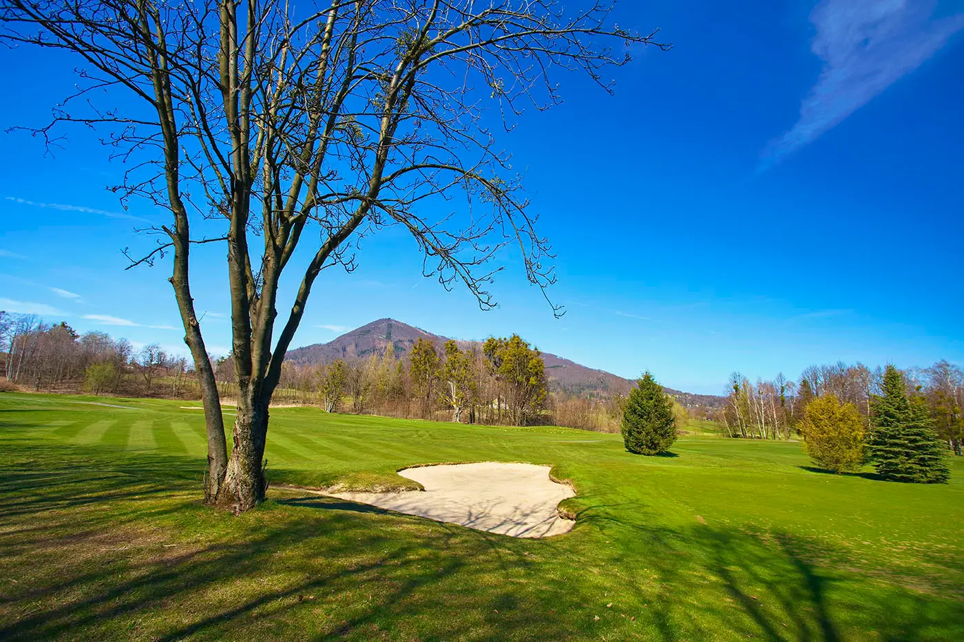 shutterstock_2764012973 - VIPshow Pohled na golfové hřiště ve slunečný den