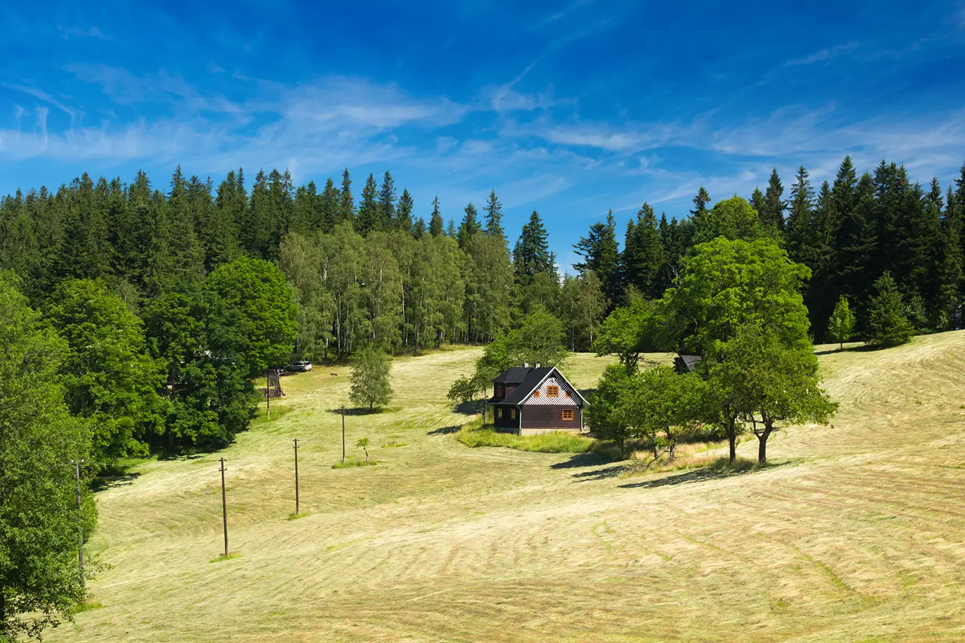 Krajina se zelenými stromy, domkem a rozlehlou loukou