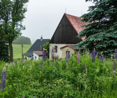 Dva domy stojí uprostřed zeleně