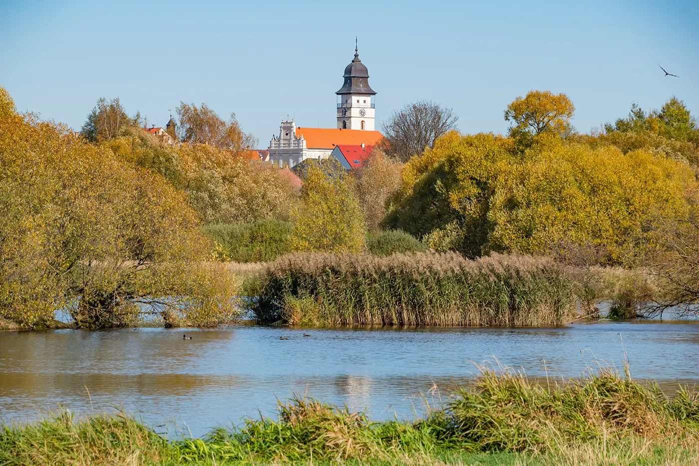 V pozadí vidíme kostel a před ním se rozprostírá voda, rákosí a stromy