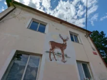 Fasáda domu s jelenem