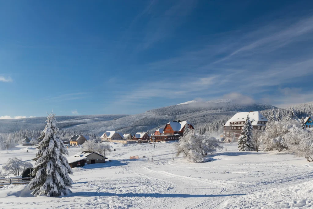 zasněžená krajina